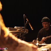 Tortoise - List pictures