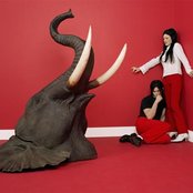 The White Stripes - List pictures