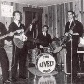 The Lively Ones - List pictures