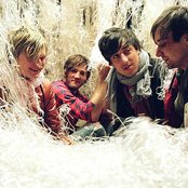 Grizzly Bear - List pictures