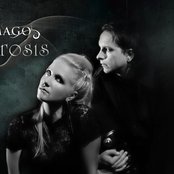 Artrosis - List pictures