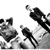 Chameleons - List pictures