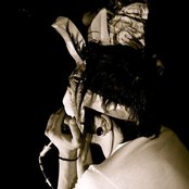 The Bunny The Bear - List pictures