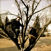 The Finite Beings - List pictures