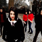 Scarling - List pictures