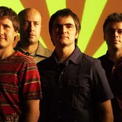 Skank - List pictures