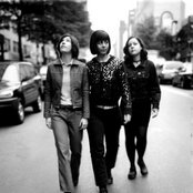 Sleater Kinney - List pictures