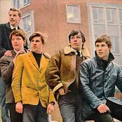 The Animals - List pictures