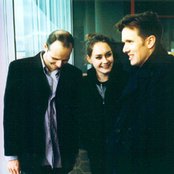 Trembling Blue Stars - List pictures