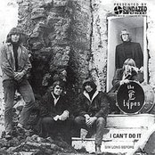 The Golliwogs - List pictures