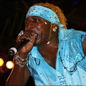 Elephant Man - List pictures