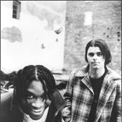 Local H - List pictures