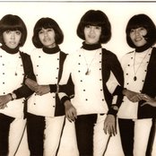 Dara Puspita - List pictures