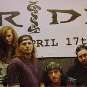 Bride - List pictures