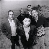 Paris Combo - List pictures