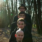 Teddy - List pictures