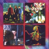 Ozric Tentacles - List pictures