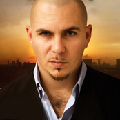 Pitbull - List pictures