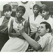 The Chiffons - List pictures