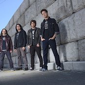 Newsted - List pictures