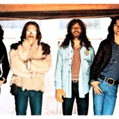 Cactus - List pictures