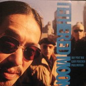 Masabumi Kikuchi - List pictures