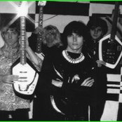 The Fuzztones - List pictures