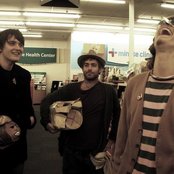 Miniature Tigers - List pictures