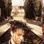 Anything Box - List pictures