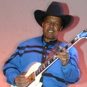 Lonnie Brooks - List pictures