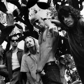 Stone Temple Pilots - List pictures