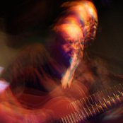 The Amber Herd - List pictures