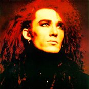 Dead Or Alive - List pictures