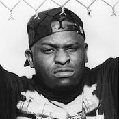 Scarface - List pictures