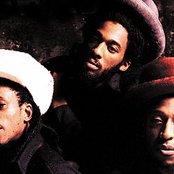 Aswad - List pictures