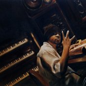 Kokane - List pictures