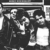 Cock Sparrer - List pictures