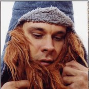 Little Wings - List pictures