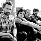 Cranberries - List pictures