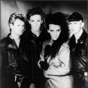 Dead Or Alive - List pictures