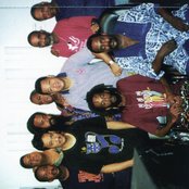 David Murray - List pictures