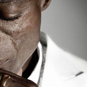 Seal - List pictures