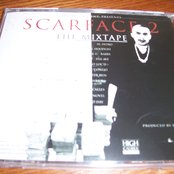 Conejo - List pictures