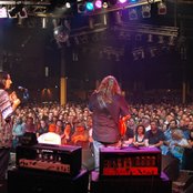 Gov't Mule - List pictures