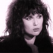 Ann Wilson - List pictures