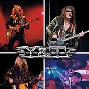 Y&t - List pictures