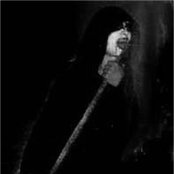 Lucifugum - List pictures