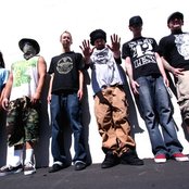 Insolence - List pictures