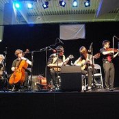 Mother Falcon - List pictures