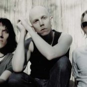 Apulanta - List pictures